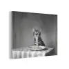 Bengaal - Kat - Tafelkleed - Zwart - Wit - Dier PET vilt klein -3d