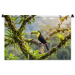 Toekan - Jungle - Natuur - Kleurrijk Wandkleed katoen middel -zz3d