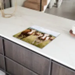 Koeien - Portret - Weide - Boerderij - Nieuwsgierig Inductie beschermer vinyl 3mm middel -sfeer8