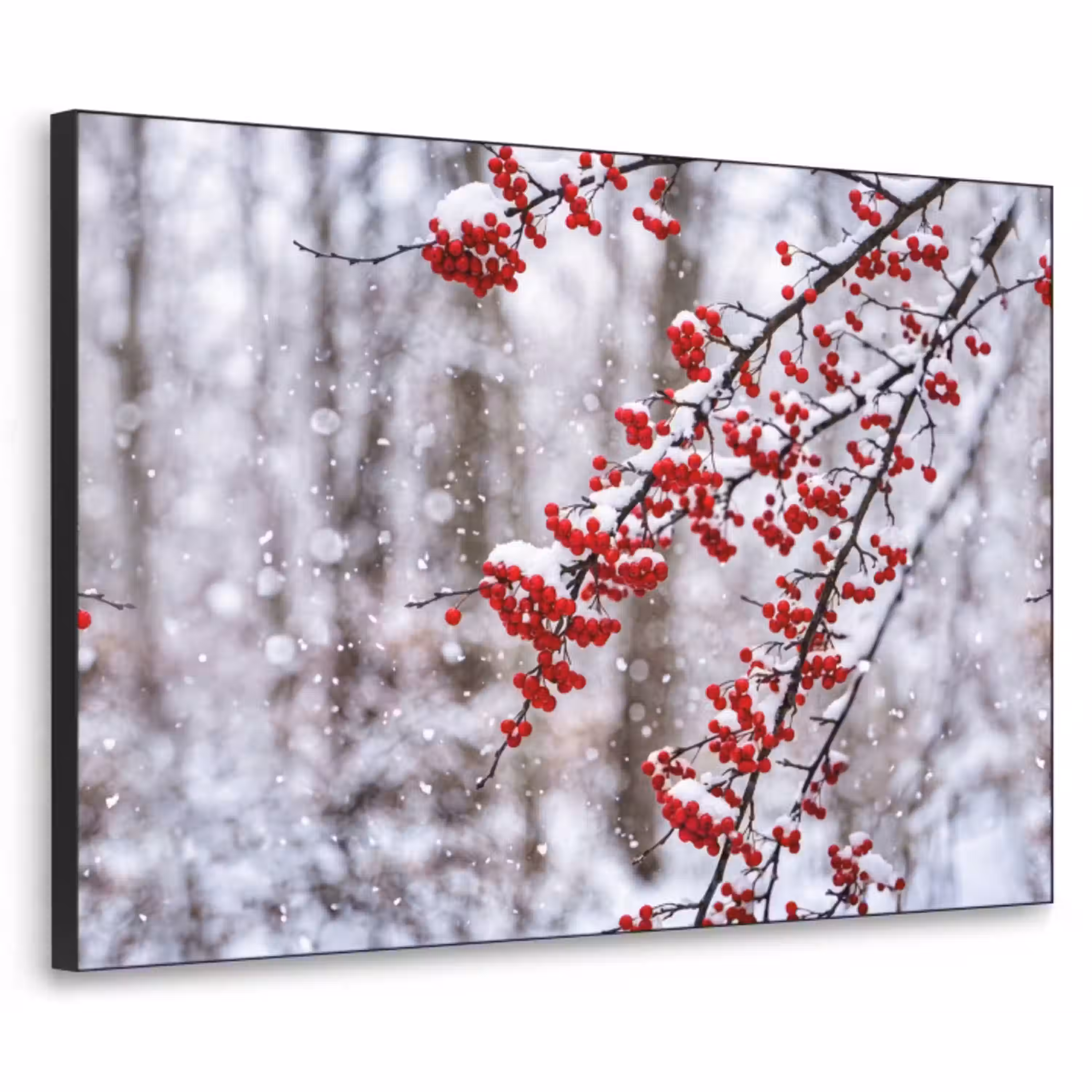 Bessen - Takken - Sneeuw - Winter - Kleurrijk Textielframe zwart klein -3d
