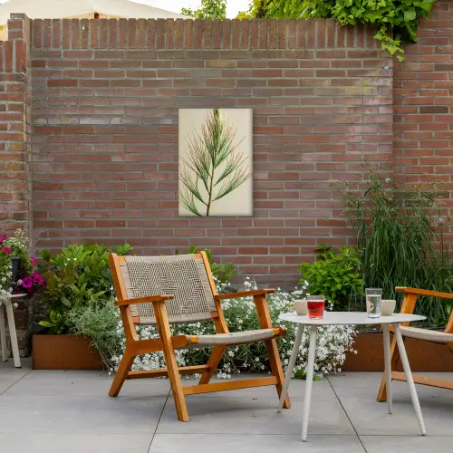 Dennentak - Naaldvormige bladeren - Lichtgroen Tuinposter op houten frame 2 cm dik klein -sfeer3