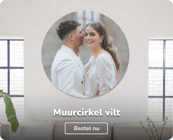 muurcirkel vilt