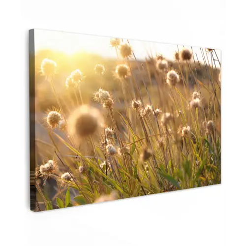 Planten - Natuur - Bloemen - Zon - Horizon Tuinposter op houten frame 2 cm dik klein -3d
