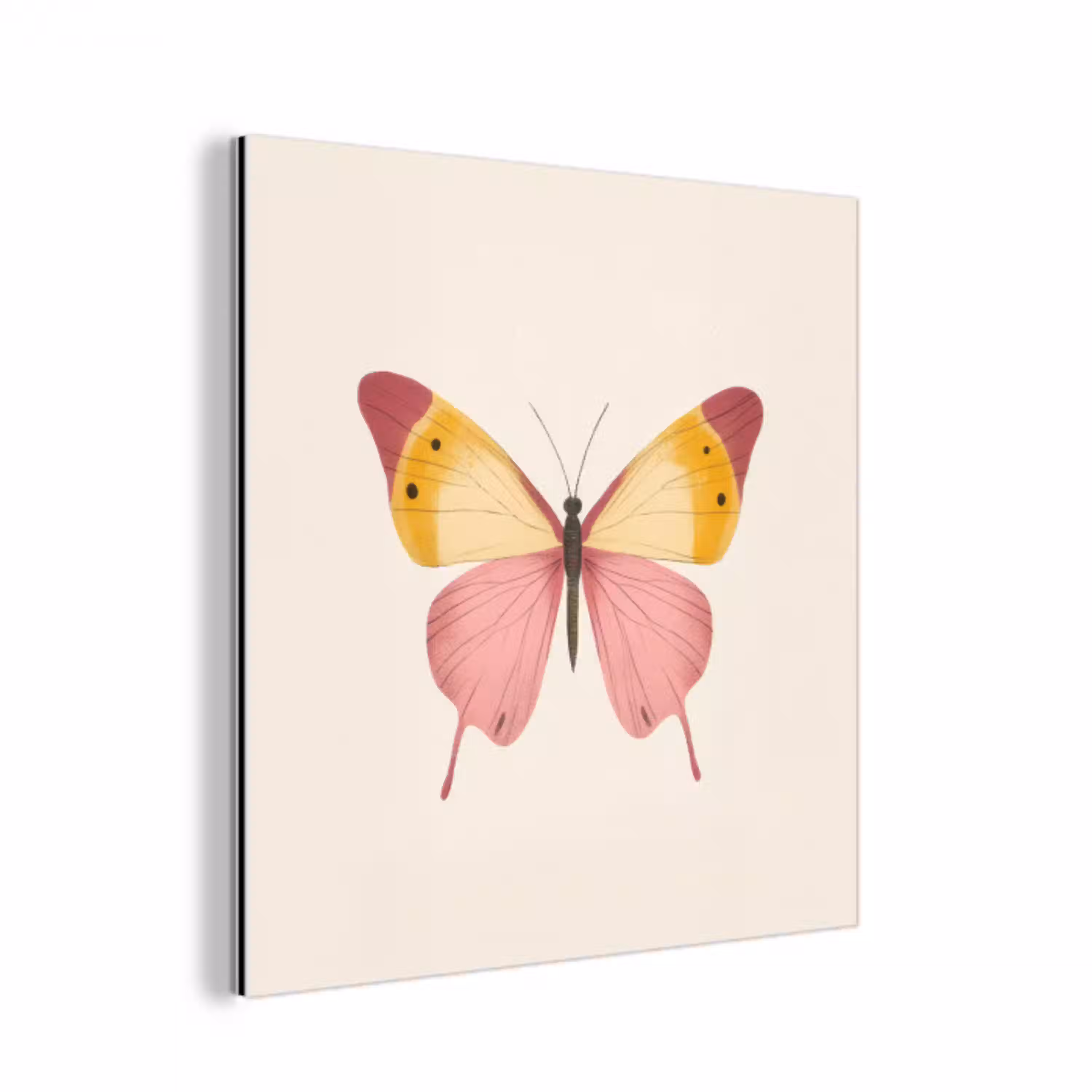 Vlinder - Illustratie - Roze aluminium wit klein -3d