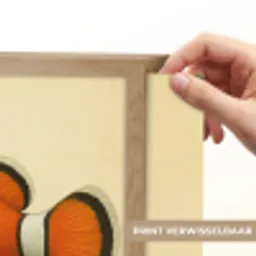 Vis - Oranje - Strepen Light Box met batterij (Wandlamp) middel -USP_websiteprintNL