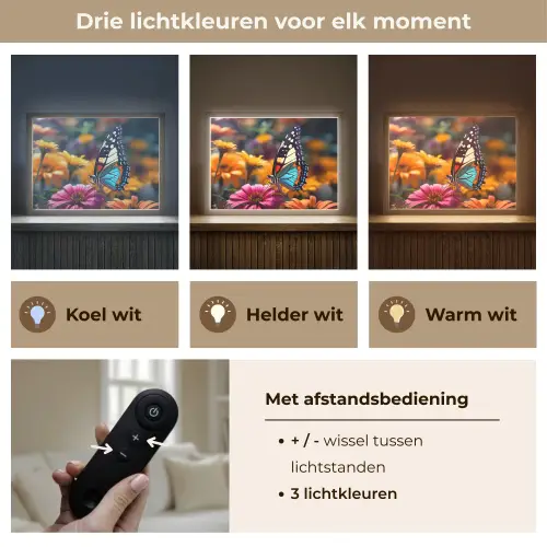 Vlinder - Dier - Kleurrijk - Bloemen - Natuur Light Box met batterij (Wandlamp) middel -USP_lichtkleurNL