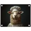 Schaap - Wol - Kok tuinposter los doek klein -3d