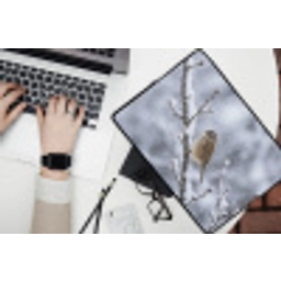 Vogel - Tak - Sneeuw - Winter laptophoes neopreen klein -bureau