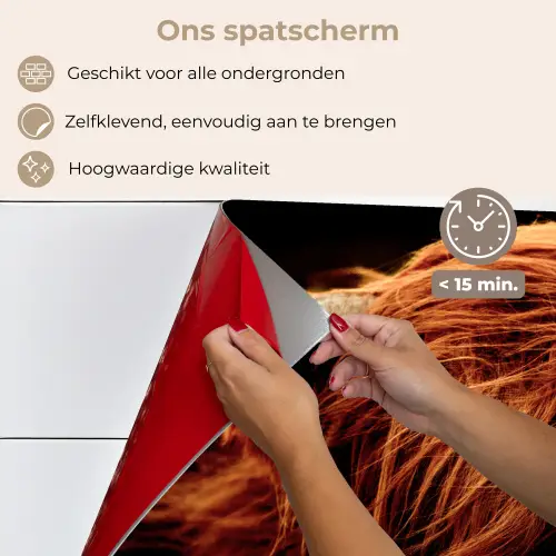 Schotse hooglander - Koe - Hoorns - Portret - Dieren keuken achterwand spatscherm klein -spatscherm_NL