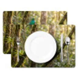 Quetzal - Jungle - Natuur - Groen Placemat vinyl groot -zzsfeer2_Kitchenyeah-website