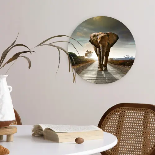 Olifant - Weg - Dieren - Zonsondergang - Landschap Wandcirkel kunststof plaat 5mm dik klein -sfeer4