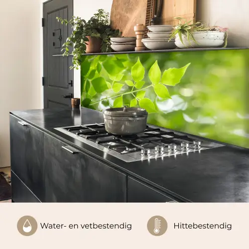 Natuur - Lente - Groen - Bladeren keuken achterwand 2 middel -usp_NL