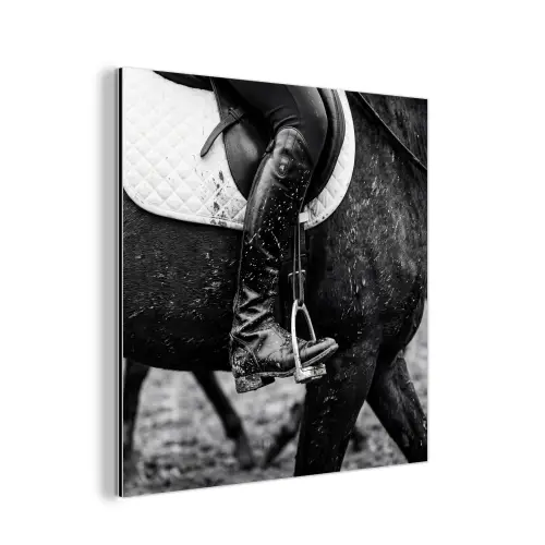 Paard - Sport - Zwart - Wit aluminium wit klein -3d