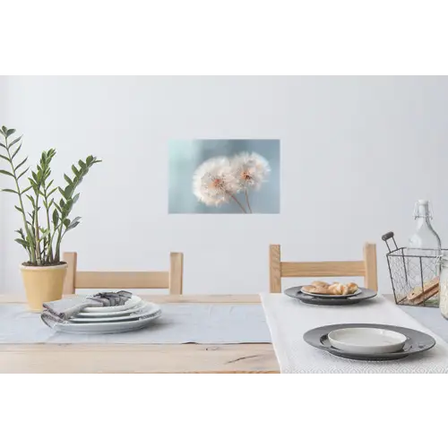 Paardenbloemen - Pluisjes - Wit Muursticker klein -eettafel