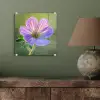 Bloem - Close up - Paars plexiglas 5mm klein -sfeer3
