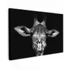 Giraffe - Portret - Dieren - Zwart - Wit canvas 2cm klein -z3d
