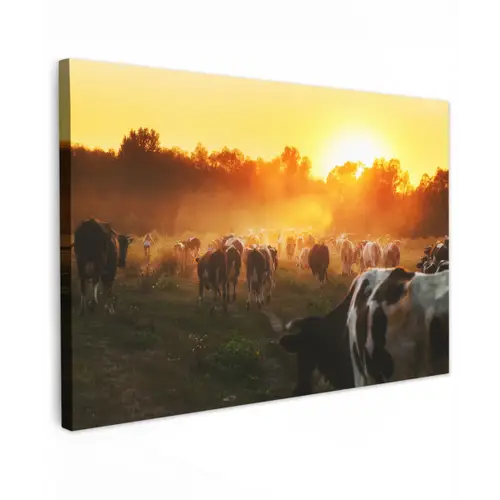 Koeien - Zonsondergang - Weiland - Dieren canvas 2cm klein -z3d