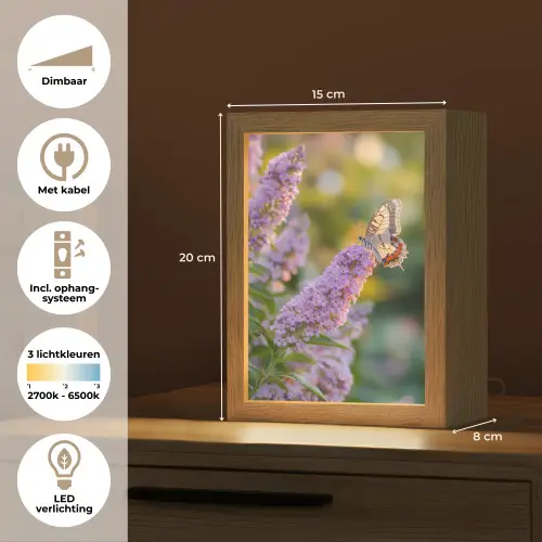 Sierlijke - Vlinder - Paarse - Bloemen Light Box met kabel (Tafellamp) klein -USP_NL