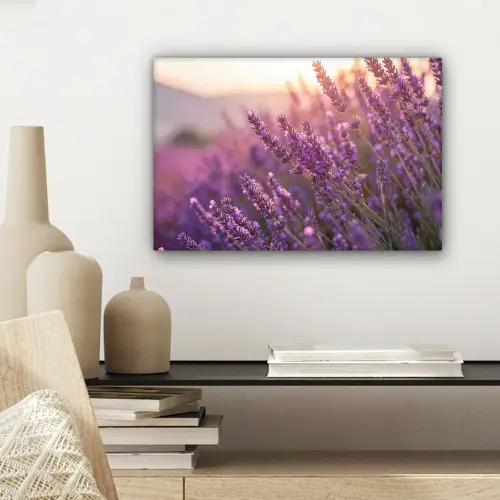 Lavendel - Paars - Zonlicht canvas 2cm klein -sfeer6