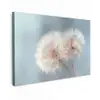 Paardenbloemen - Pluisjes - Wit canvas 2cm klein -z3d