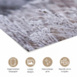 Schermbloem - Rijp - Kristallen - Winter - Delicaat poster papier klein -closeup_NL