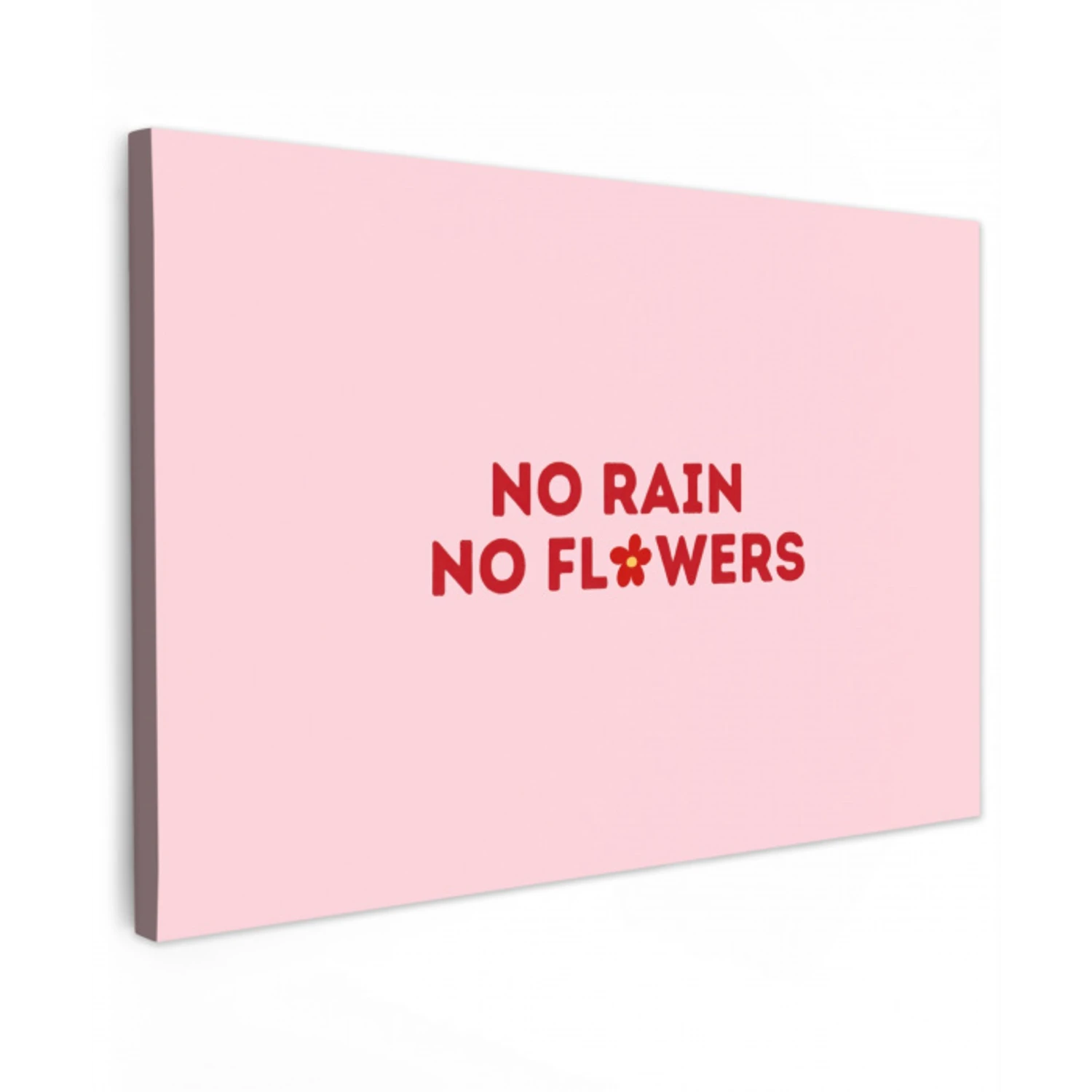 No rain no flowers - Minimalistisch - Roze - Bloem canvas 2cm klein -z3d