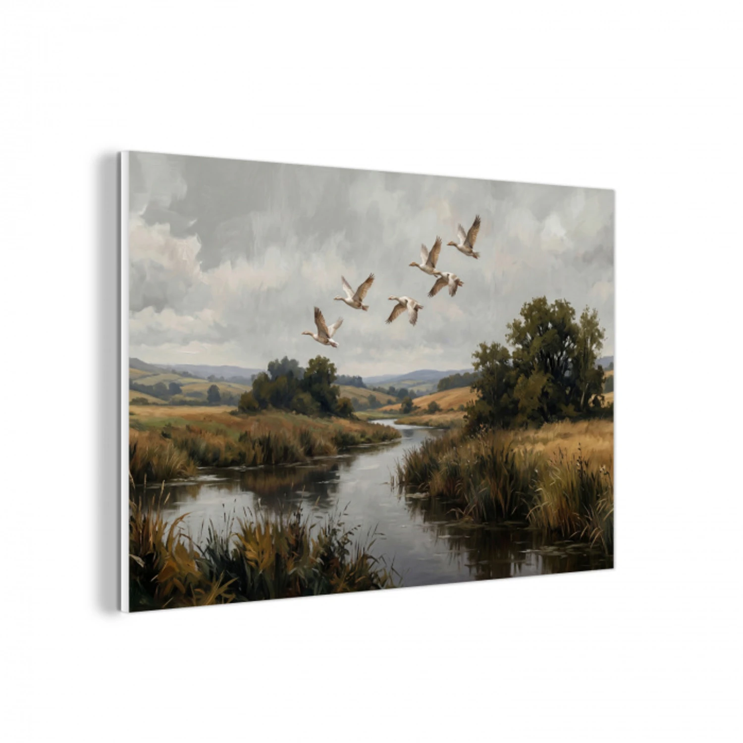 Eenden - Rivier - Landschap - Vlucht - Nostalgisch forex 5mm xxl -3d