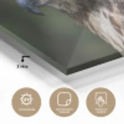 Buizerd - Roofvogel - Natuur - Bruin plexiglas 5mm klein -wsfeer2_DE