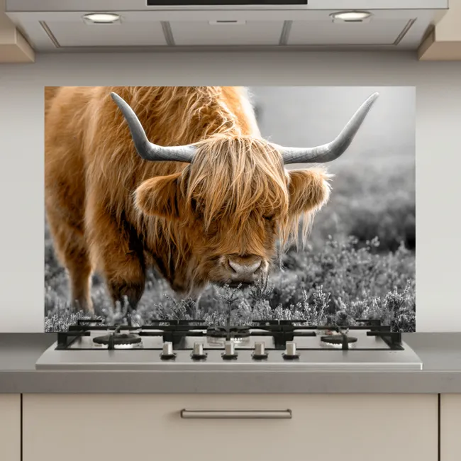 Schotse Hooglander - Dieren - Bruin - Koe - Zwart - Wit - Natuur keuken achterwand spatscherm klein -3d_website