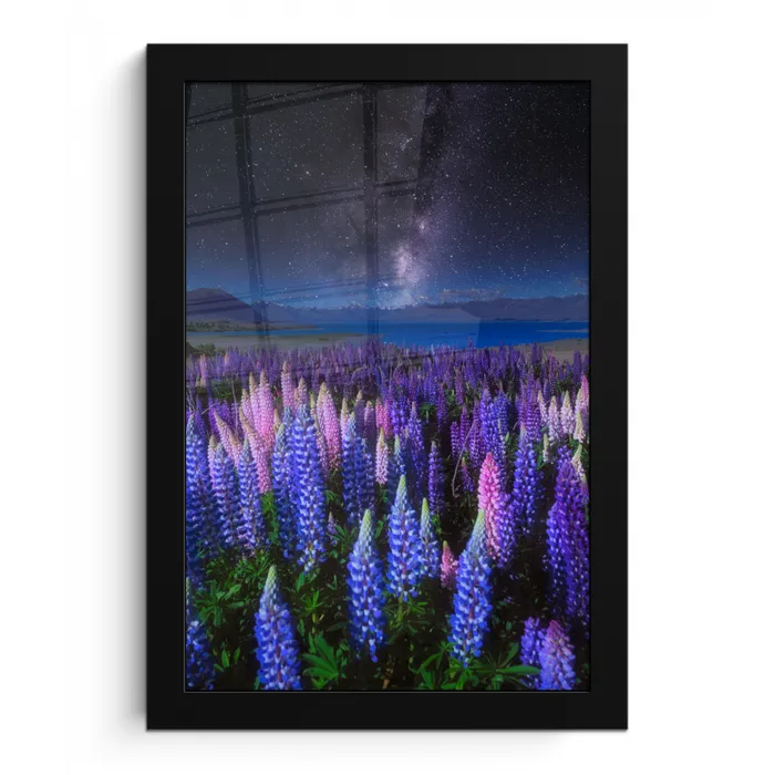 Bloemen - Nacht - Lupine - Sterrenhemel - Paars - Natuur fotolijst zwart zonder passe partout klein -3d