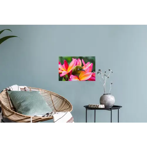 Tropische vogel tussen roze bloem Muursticker klein -plant