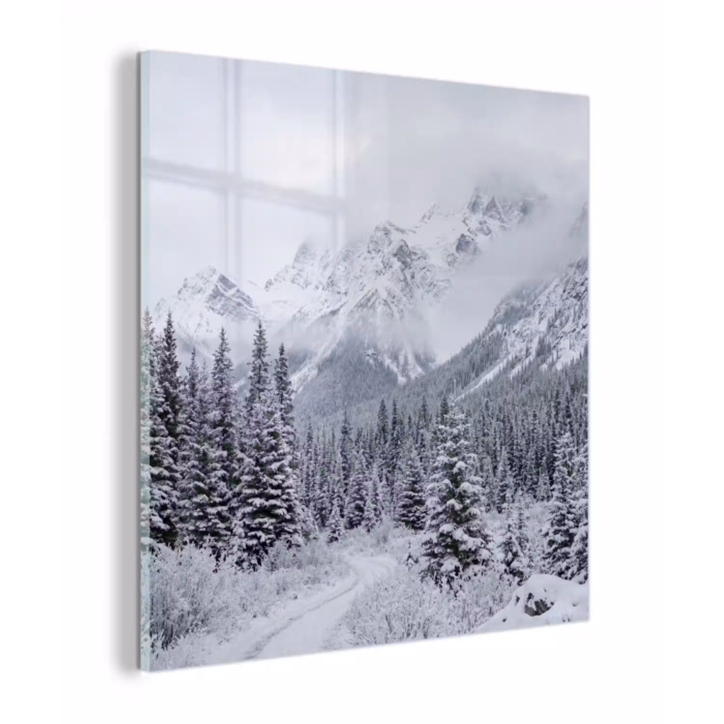 Weg - Bergen - Sneeuw - Naaldbos - Avontuurlijk plexiglas 5mm klein -z3d