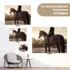 Harmonie - Ruiter - Zon tuinposter los doek klein -Xsfeer9_DE
