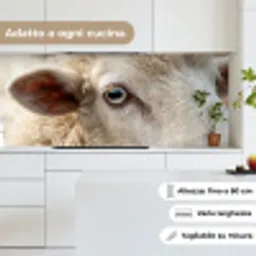 Schaap - Oog - Wit keuken achterwand 2 middel -sfeer4_IT