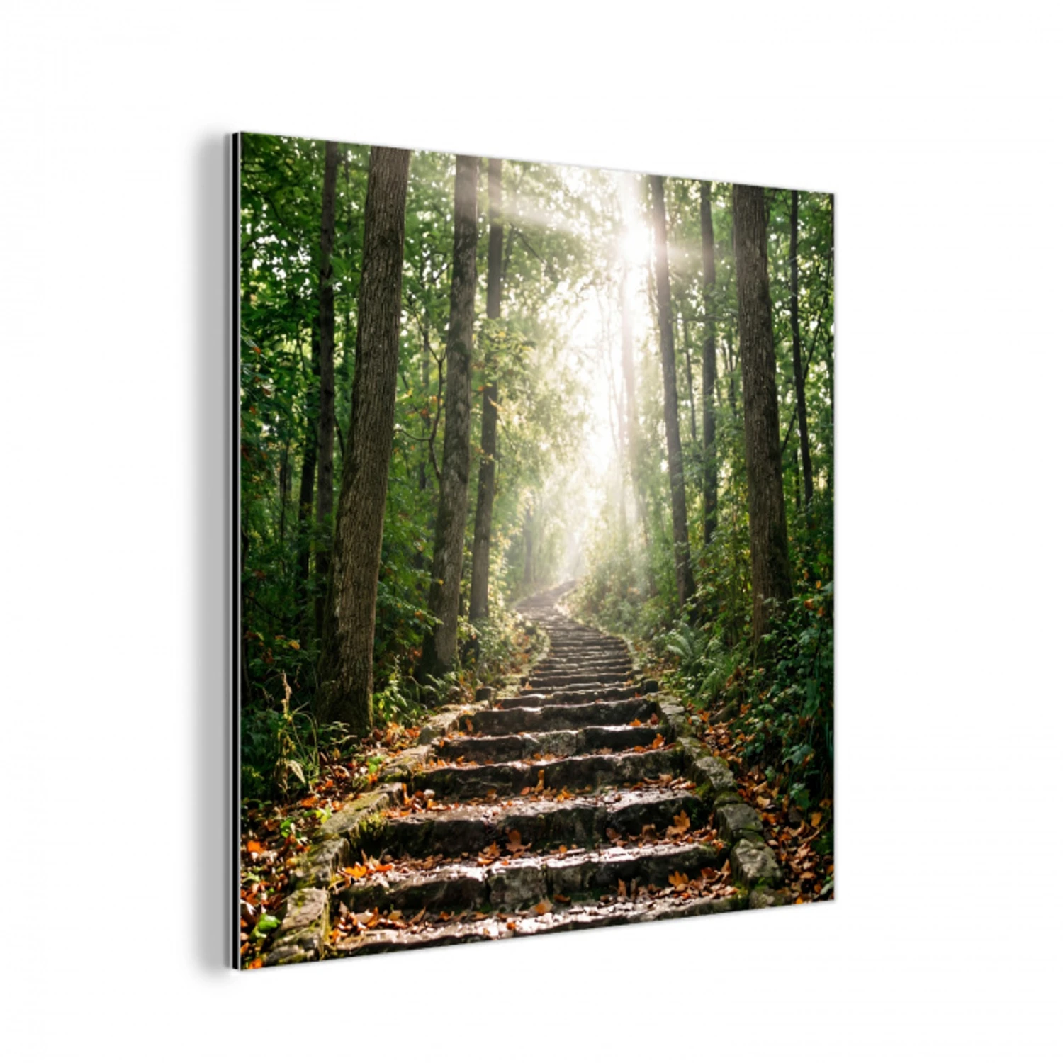 Stenen - Trap - Bos - Natuur aluminium wit klein -3d