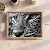 Luipaard - Zwart - Wit - Oog Dienblad Rechthoek middel -USP_Formaat