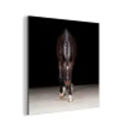 Paard - Modern - Portret aluminium wit klein -3d