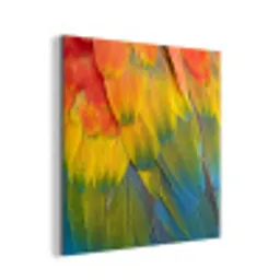 Veren - Ara - Kleurrijk aluminium wit klein -3d