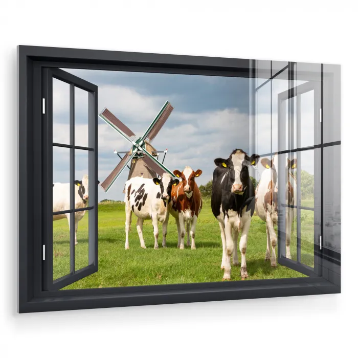 Doorkijk - Koe - Molen - Koeien - Weiland - Gras - Groen plexiglas 5mm klein -zzzproduct_nieuw