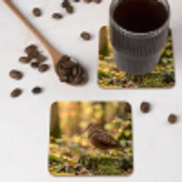Houtsnip - Bos - Bladeren - Herfst - Gecamoufleerd onderzetter kurk middel -sfeer2