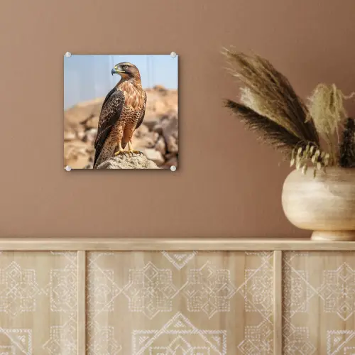 Valk - Vogel - Rots - Macht plexiglas 5mm klein -sfeer5