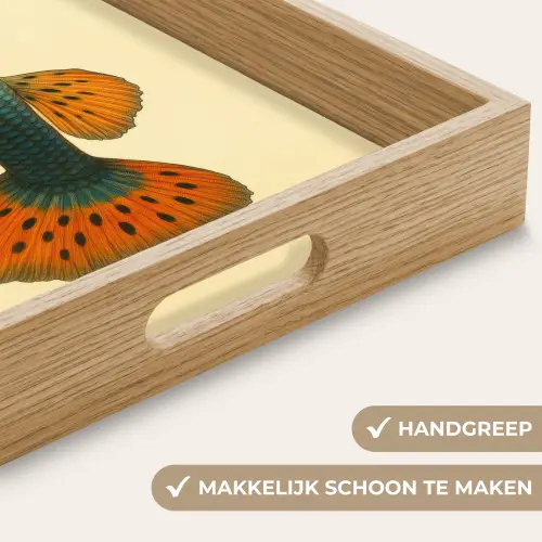 Vis - illustratie - Stippen - Oranje Dienblad Rechthoek middel -USP_HandgreepNL