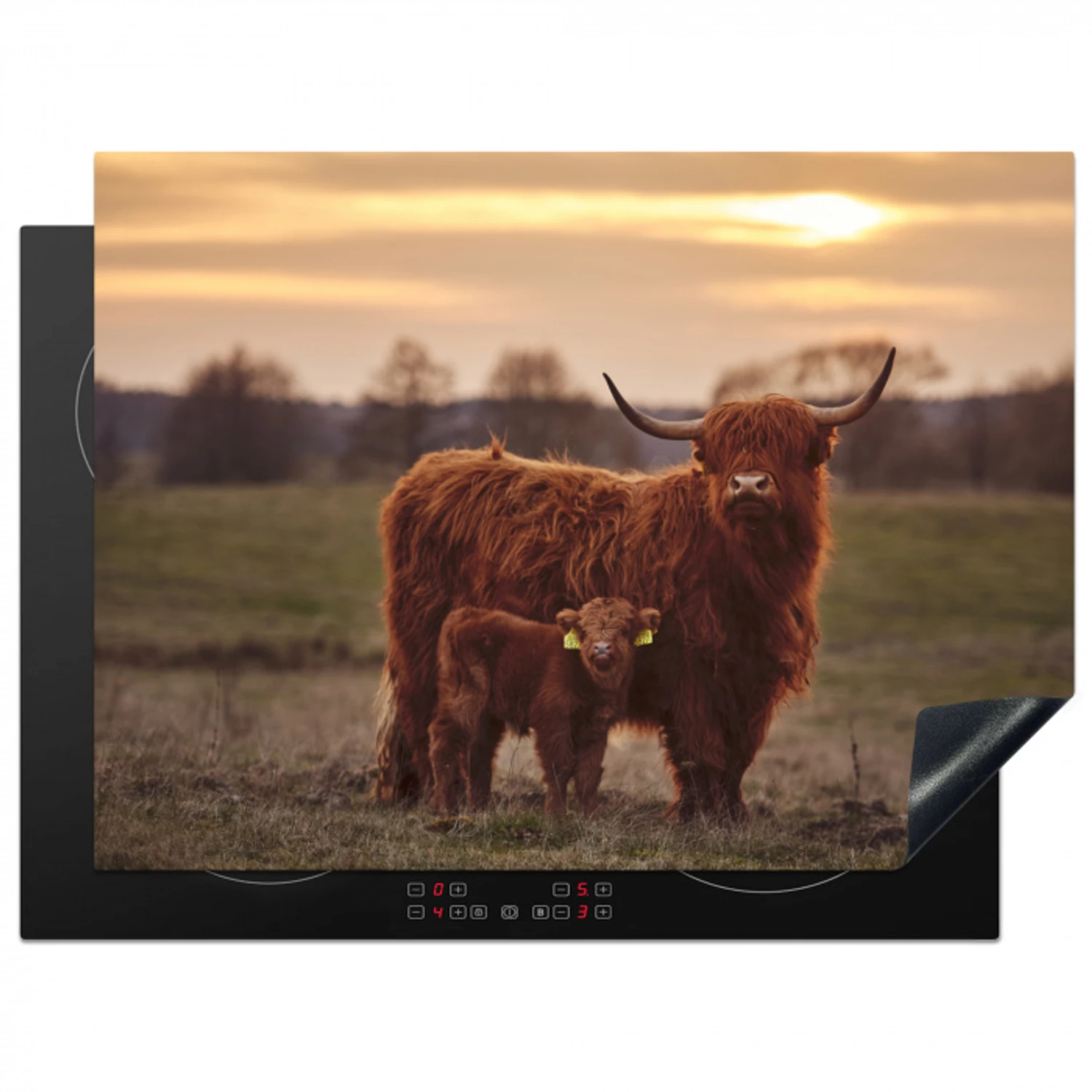 Schotse hooglander - Dieren - Landschap - Zonsondergang - Koe Inductie beschermer vinyl 3mm klein -3d