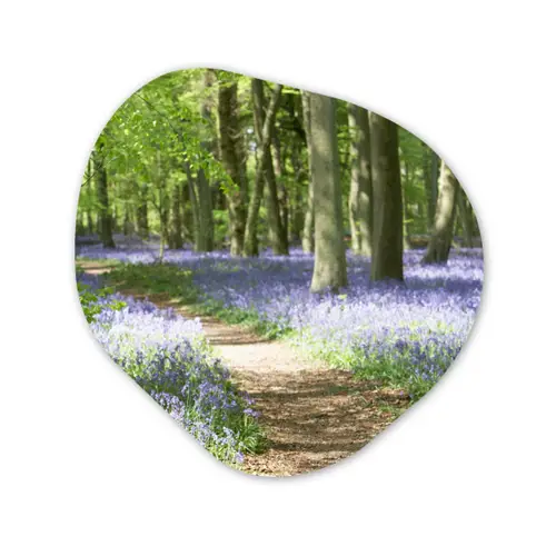 Bos - Pad - Bloemen - Paars - Groen - Natuur Wandcirkel Organisch Forex 3mm klein -3d