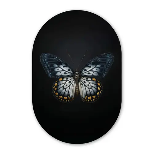 Vlinder - Monochroom - Balans Wandcirkel Ovaal Forex klein -3d