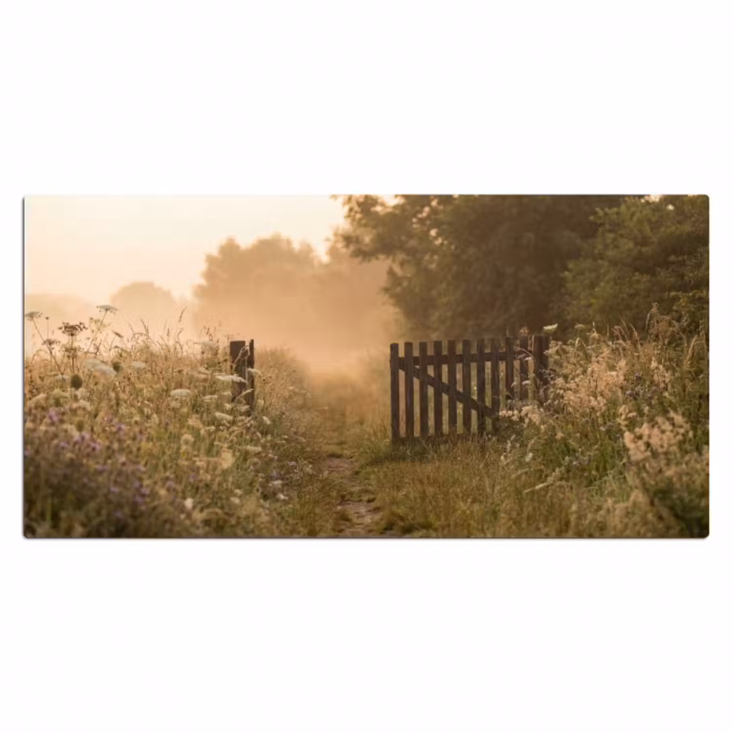 Schreibtischunterlage - Zaun - Natur - Nebel - Feld