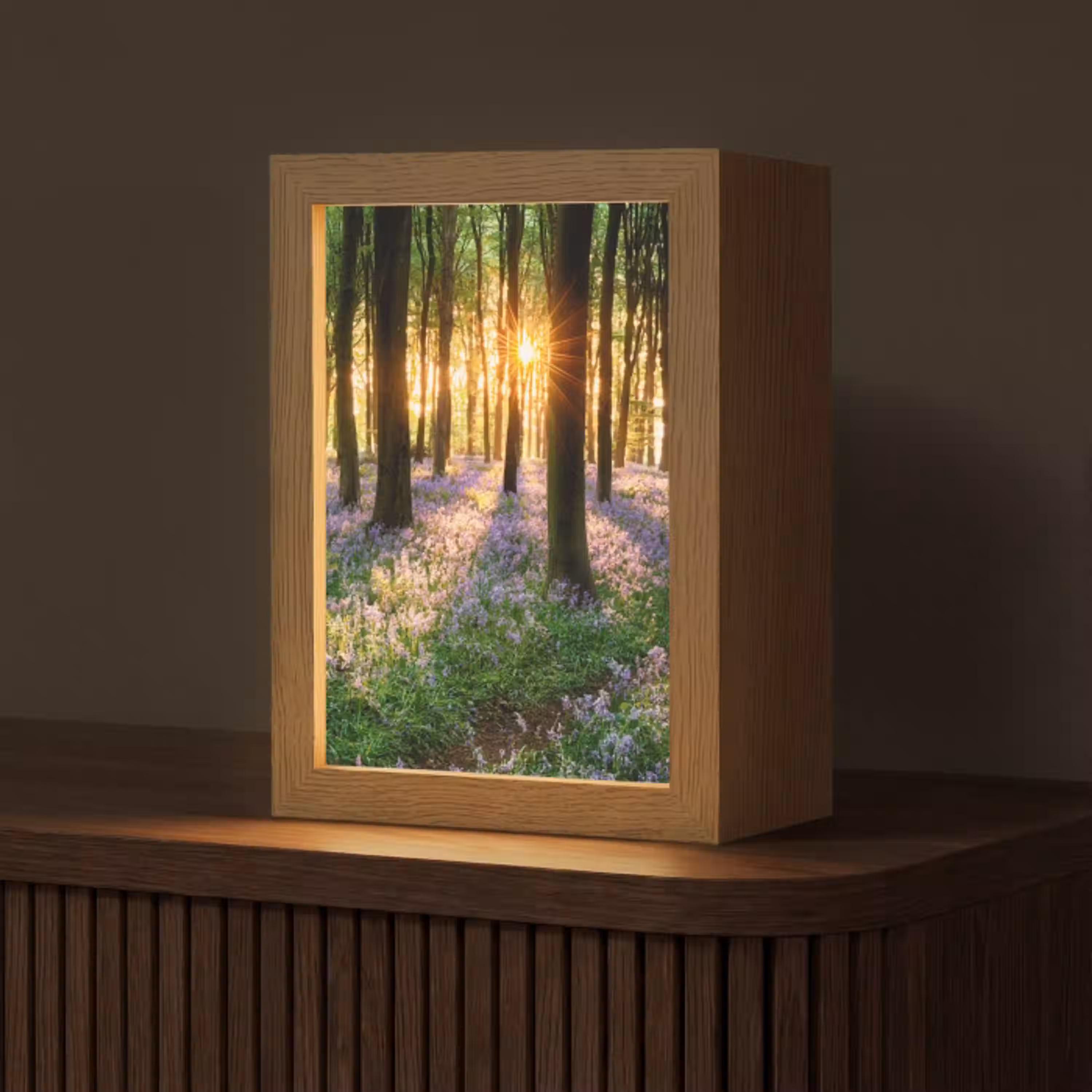 Bos - Bloemen - Lavendel - Zon - Paars - Natuur Light Box met kabel (Tafellamp) klein -z3d_website