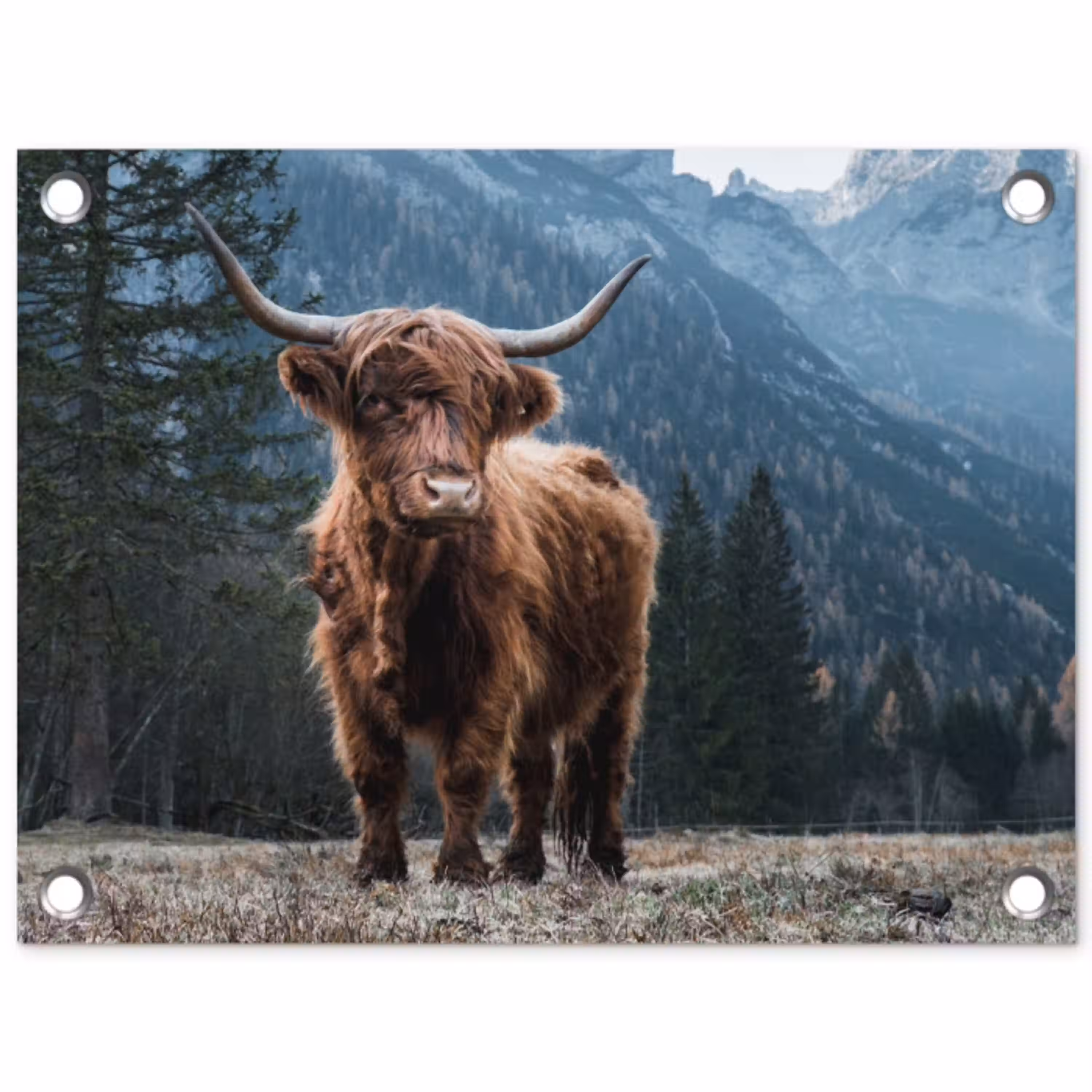 Hooglander in de Bergen tuinposter los doek klein -3d