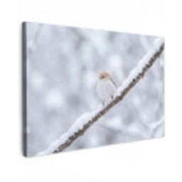Vogeltje - Sneeuw - Tak - Winter - Zacht canvas 2cm klein -z3d