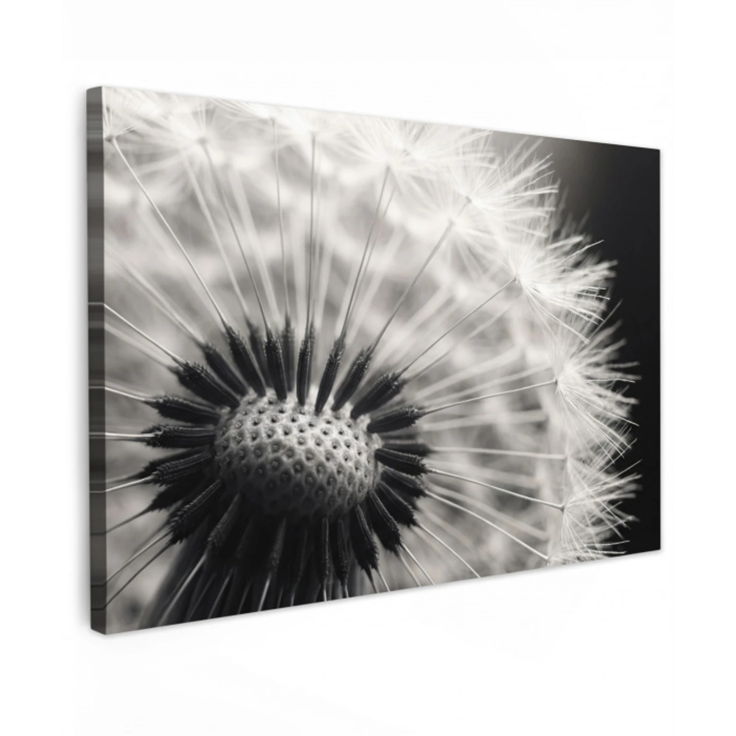 Paardenbloem - Zwart - Wit Tuinposter op houten frame 2 cm dik klein -3d